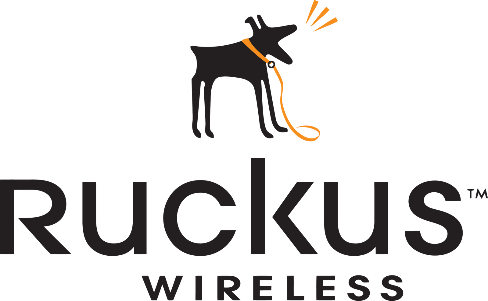 ruckus-wireless-seeklogo